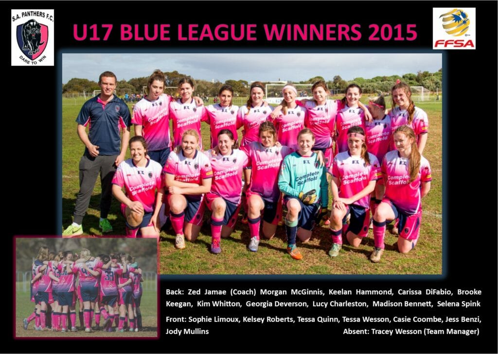 U17 League Winners 2015
